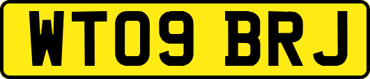 WT09BRJ