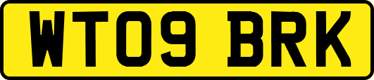 WT09BRK