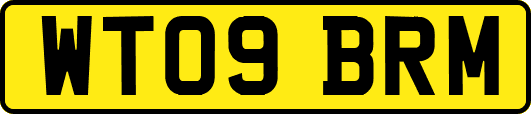 WT09BRM