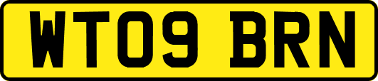 WT09BRN