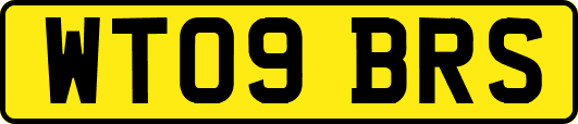 WT09BRS