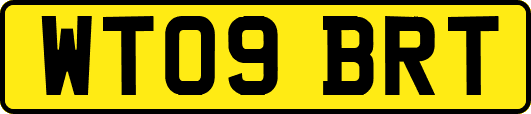 WT09BRT