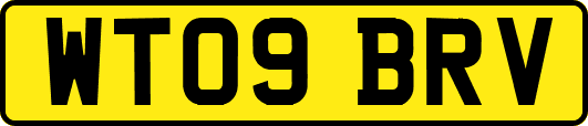 WT09BRV