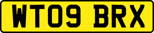 WT09BRX