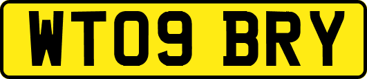 WT09BRY