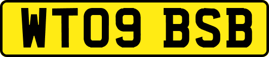 WT09BSB