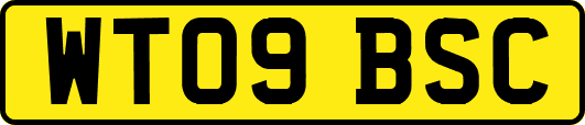 WT09BSC