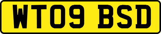 WT09BSD
