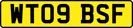 WT09BSF