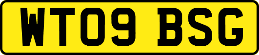 WT09BSG