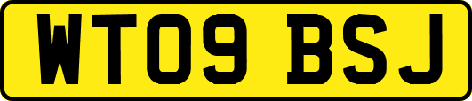 WT09BSJ