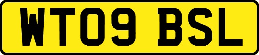 WT09BSL