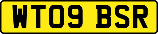 WT09BSR