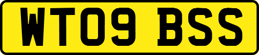 WT09BSS