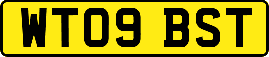 WT09BST