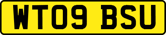 WT09BSU