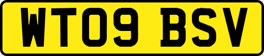 WT09BSV