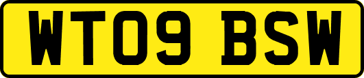 WT09BSW