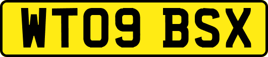 WT09BSX