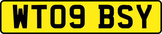 WT09BSY
