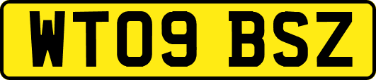 WT09BSZ