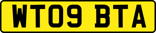WT09BTA