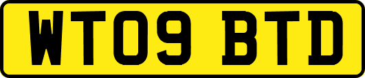 WT09BTD