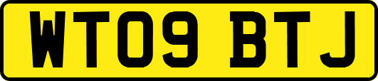 WT09BTJ