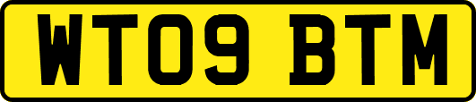 WT09BTM