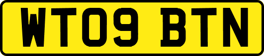 WT09BTN