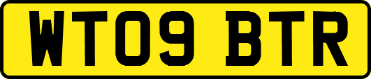 WT09BTR