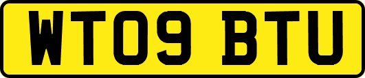 WT09BTU