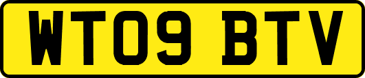 WT09BTV