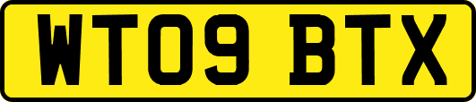 WT09BTX