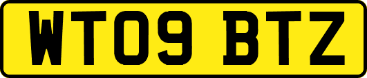 WT09BTZ