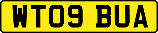 WT09BUA