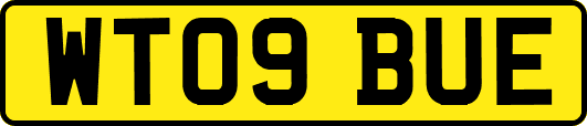 WT09BUE