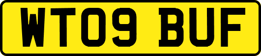 WT09BUF