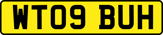 WT09BUH