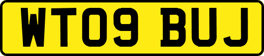 WT09BUJ