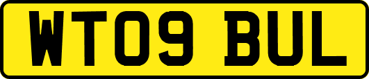 WT09BUL