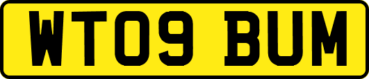 WT09BUM