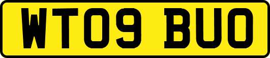 WT09BUO