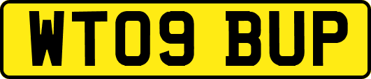 WT09BUP
