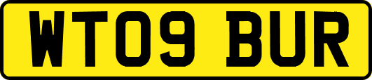 WT09BUR