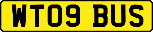 WT09BUS