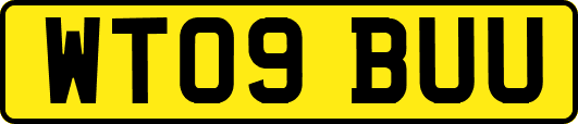 WT09BUU