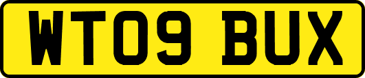 WT09BUX