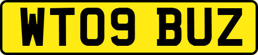 WT09BUZ