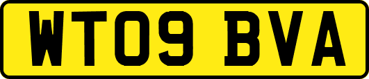 WT09BVA